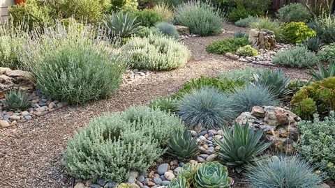 Drought-tolerant garden
