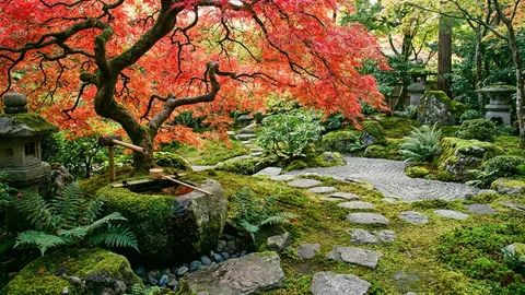 Japanese garden