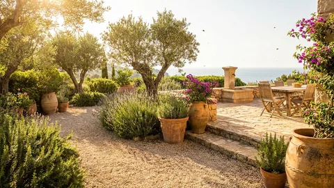 Mediterranean garden