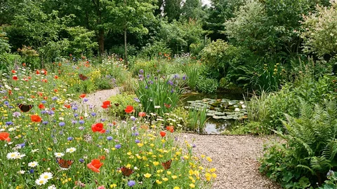 Wildlife garden (Naturgarten)